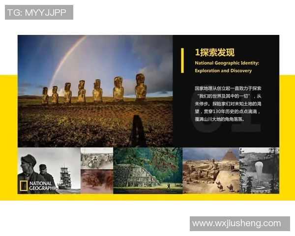 全球体育明星出生地及排名分析揭示运动员背后的故事与成就