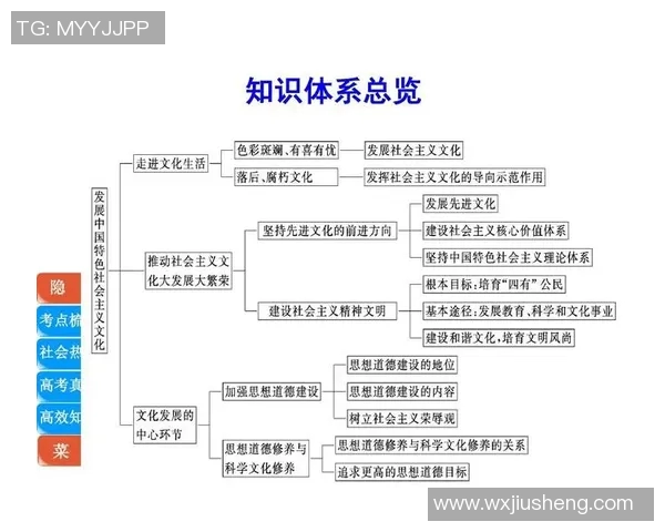 中国体育文化公司案例分析与发展策略探讨